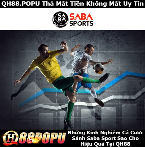 cac-kinh-nghiem-cuoc-tai-saba-sport-sao-cho-hieu-qua-tai-qh88